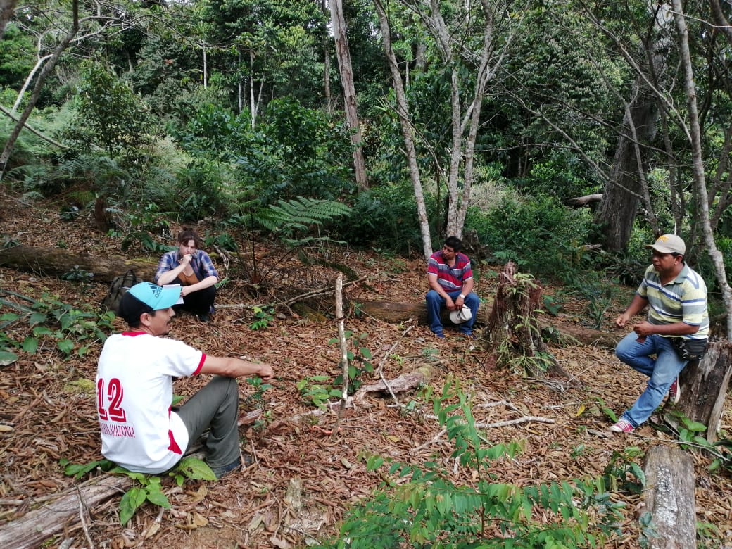 SM forest restoration TDC _Peru